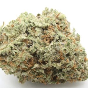 Pure Michigan AAA #INDICASALE