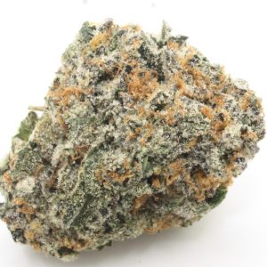 GMO Bomb AAA+ #INDICASALE