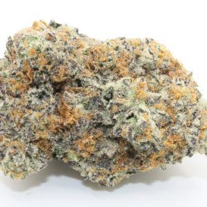 Purple Elephant AAAA+ #TOPSHELF