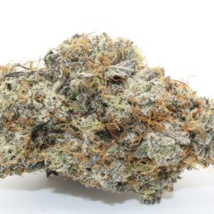 *LSO Slapz AAAA+ #TOPSHELF