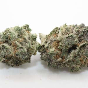 White Truffle Micro AA+ #NEWARRIVAL