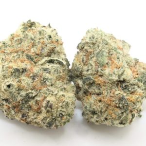 #BLOWOUT Gelato Smalls AA+